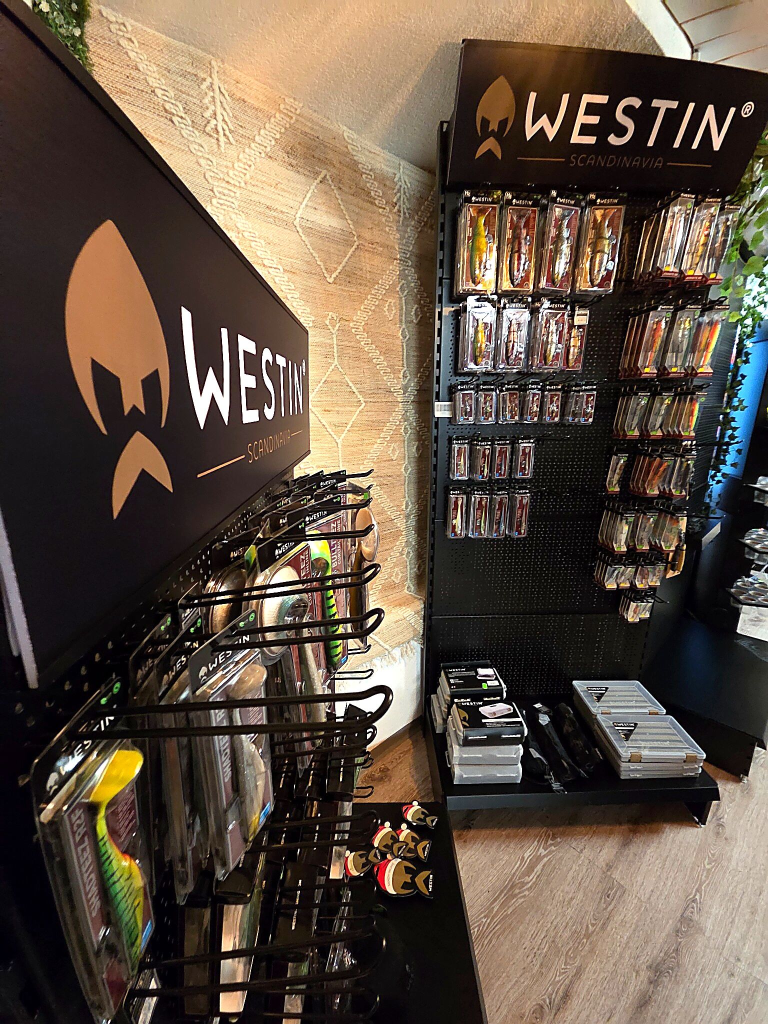 edited_20260221_085028