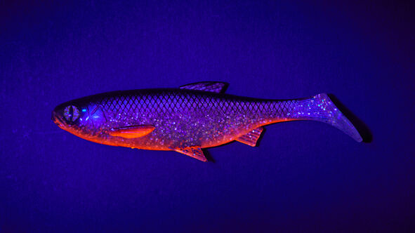 Balzer Shirasu Fake Shad