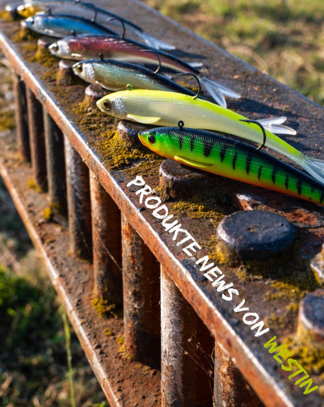 Produkte NEws von Westin (1080 x 1355 px)