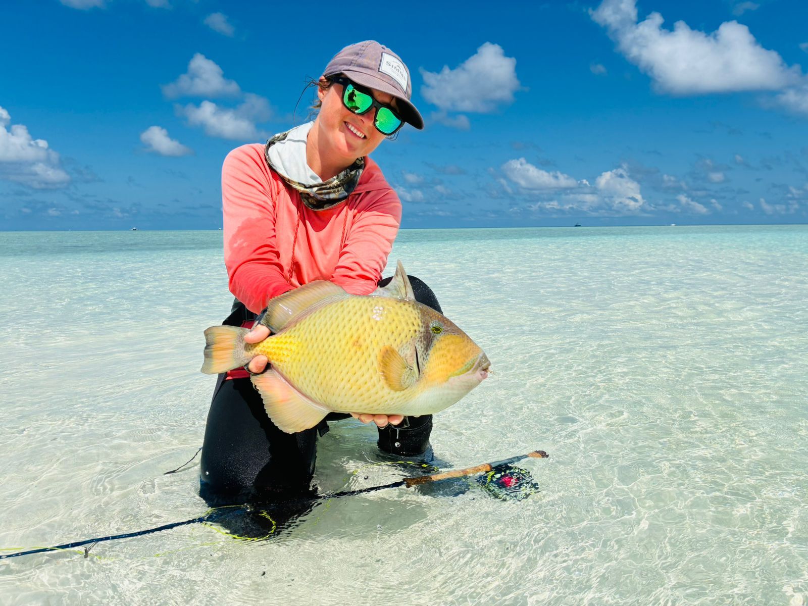 7880e088-1056-42af-a304-96c1ed278202