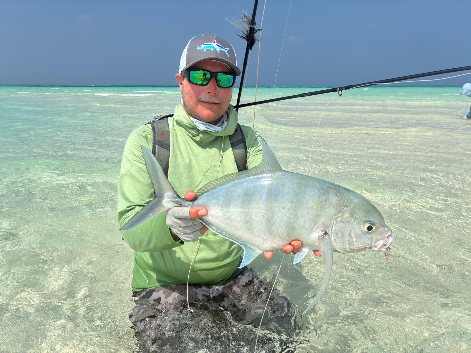 01272f61-ff01-4ee2-82d4-dc9d6b40e117