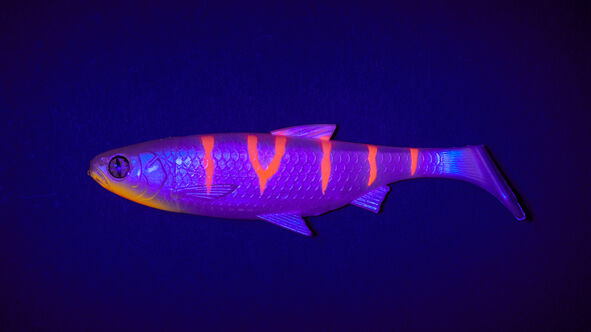 Balzer Shirasu Fake Shad