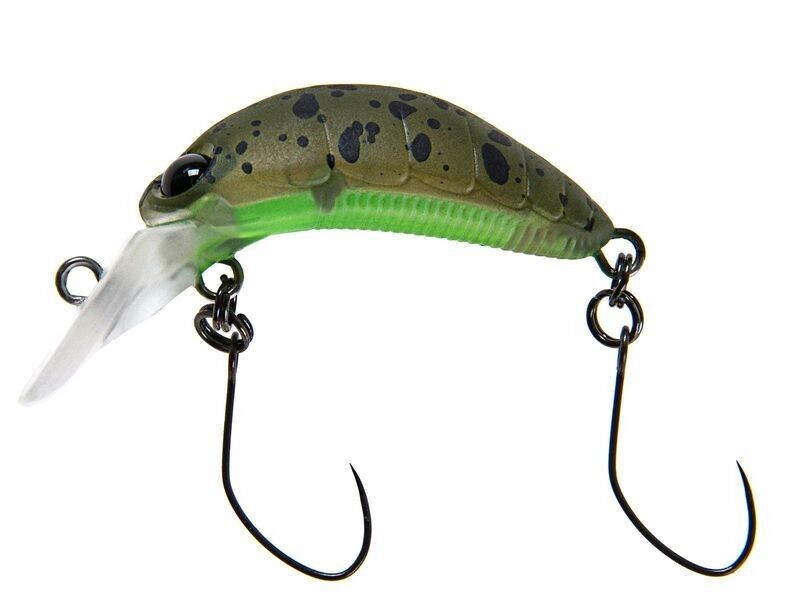 Nories RICE 30 Kokedama