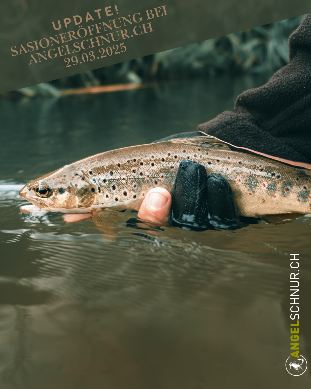 Erffnung Forelle 2025