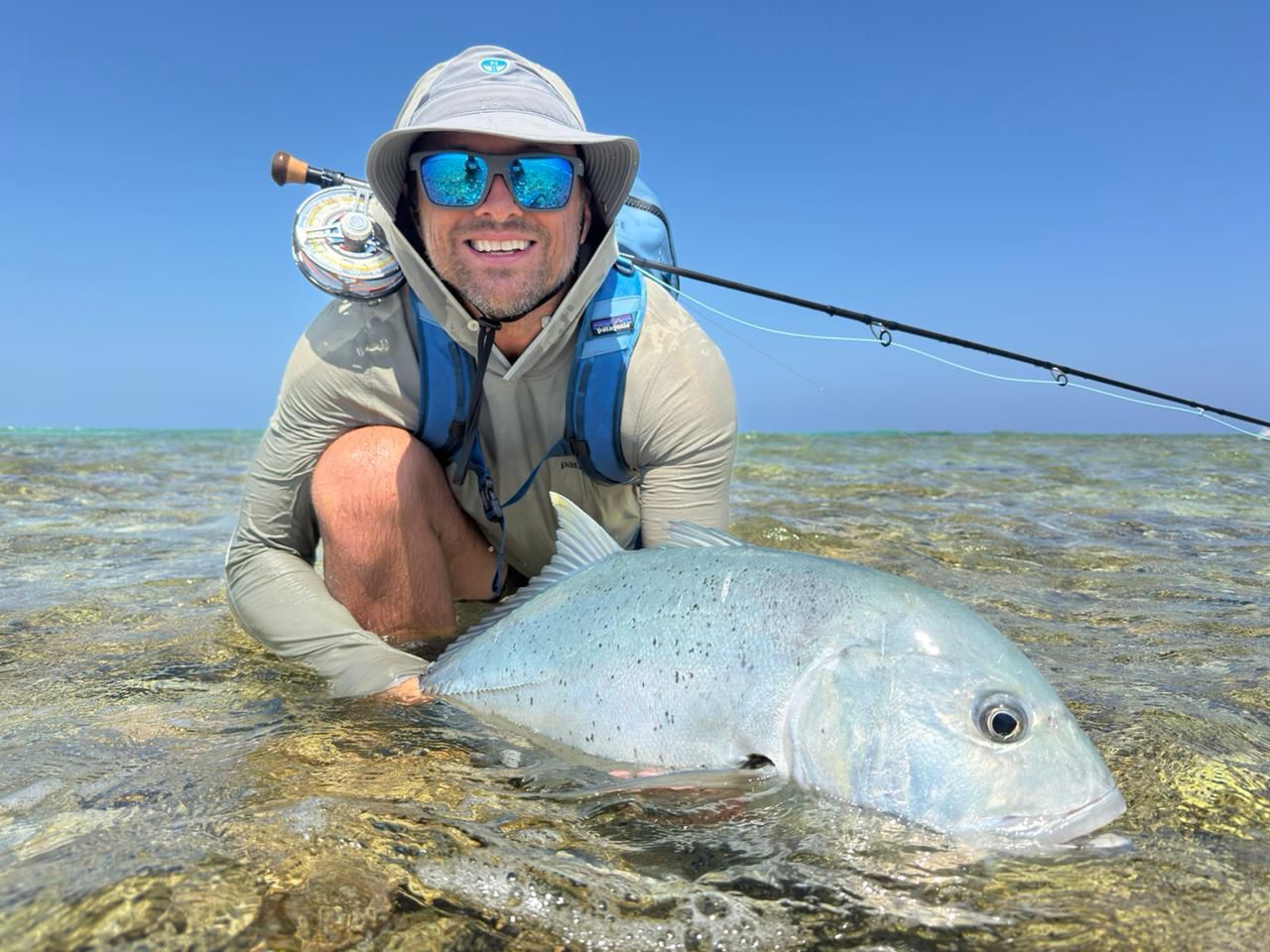 26c363b5-55df-4af6-b5f2-bf282be4874a