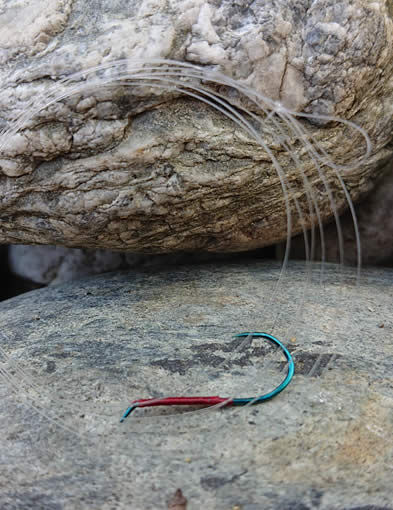 Pafex widerhakenloser Forellenhaken mit Vorfach