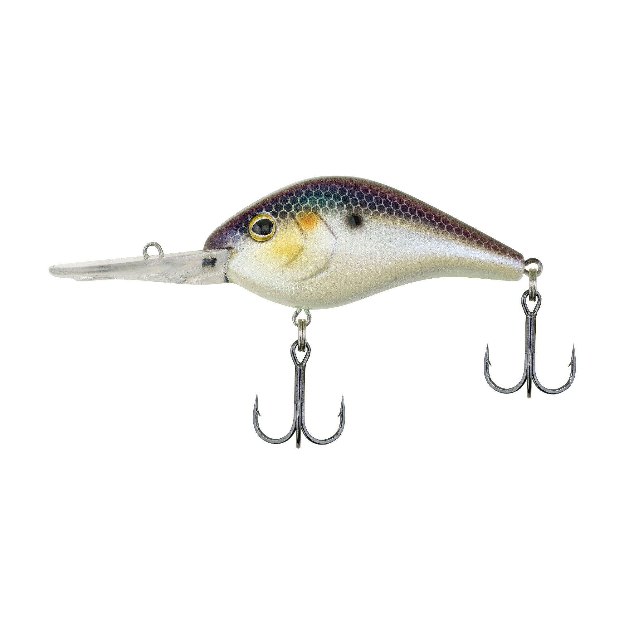Berkley Dredger 14.5 Chameleon Pearl