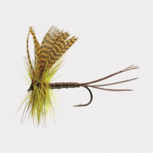 Jenzi Mayfly Yelllow 10