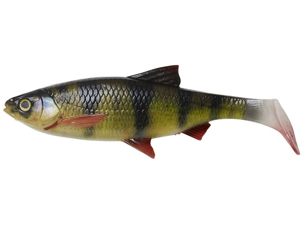 Savage Gear 4D RIVER ROACH BULK Perch