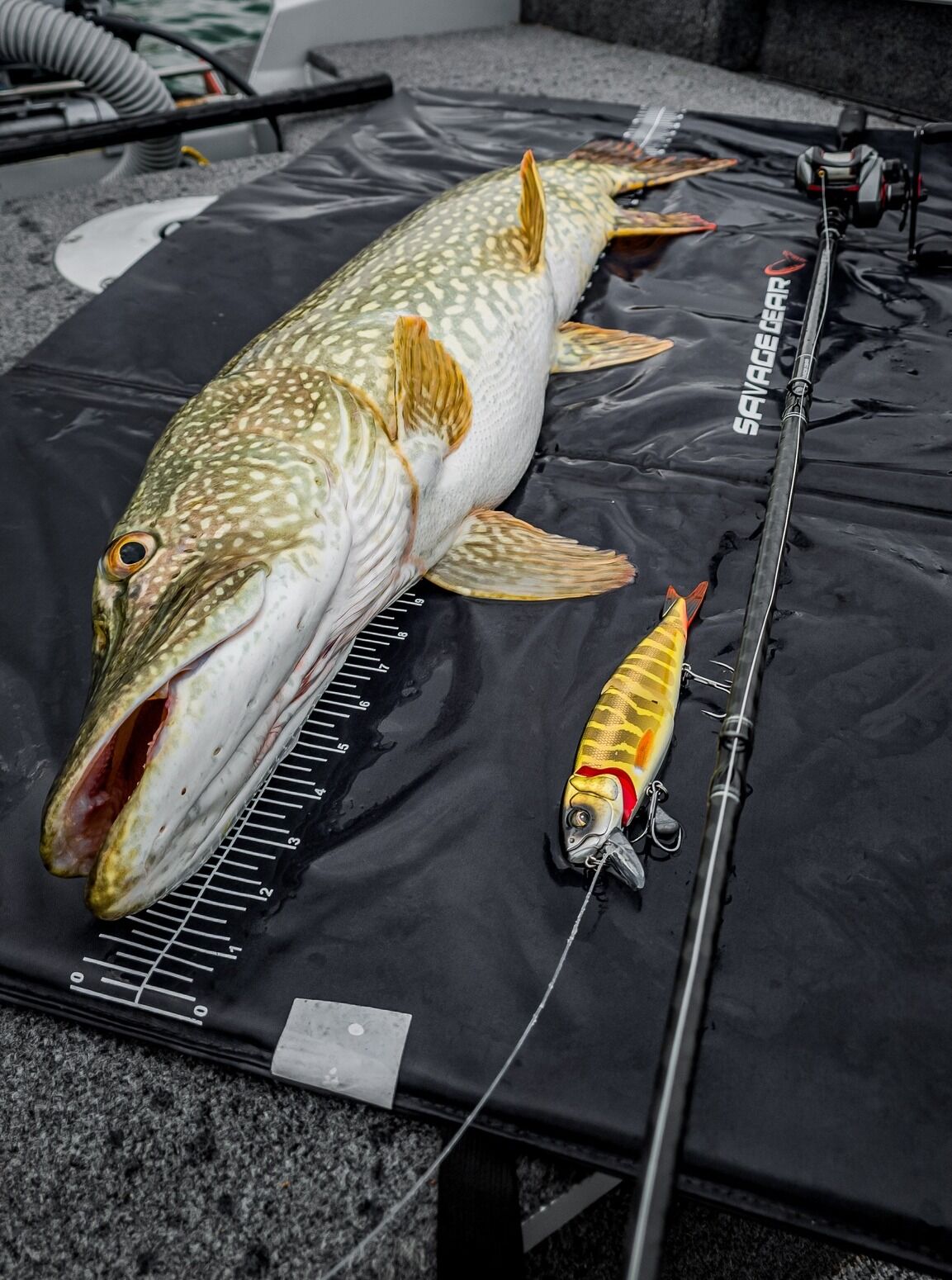 601368045_1283554543802368_1690943085856477456_n