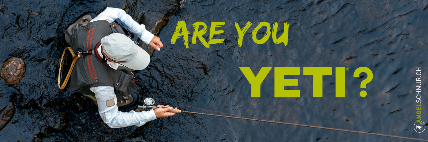 are you yeti