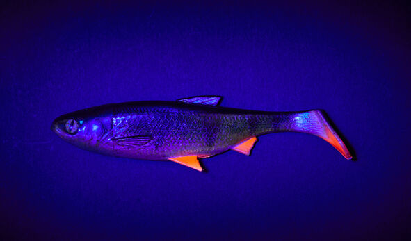 Balzer Shirasu Fake Shad