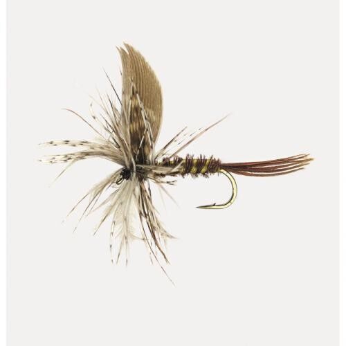 Jenzi Trockenfliege Male 14