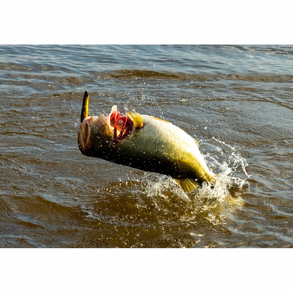 Savage Gear Prop Walker Ghost Minnow 10cm