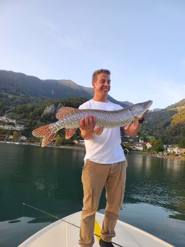 IMG-20231126-WA0019_800x800