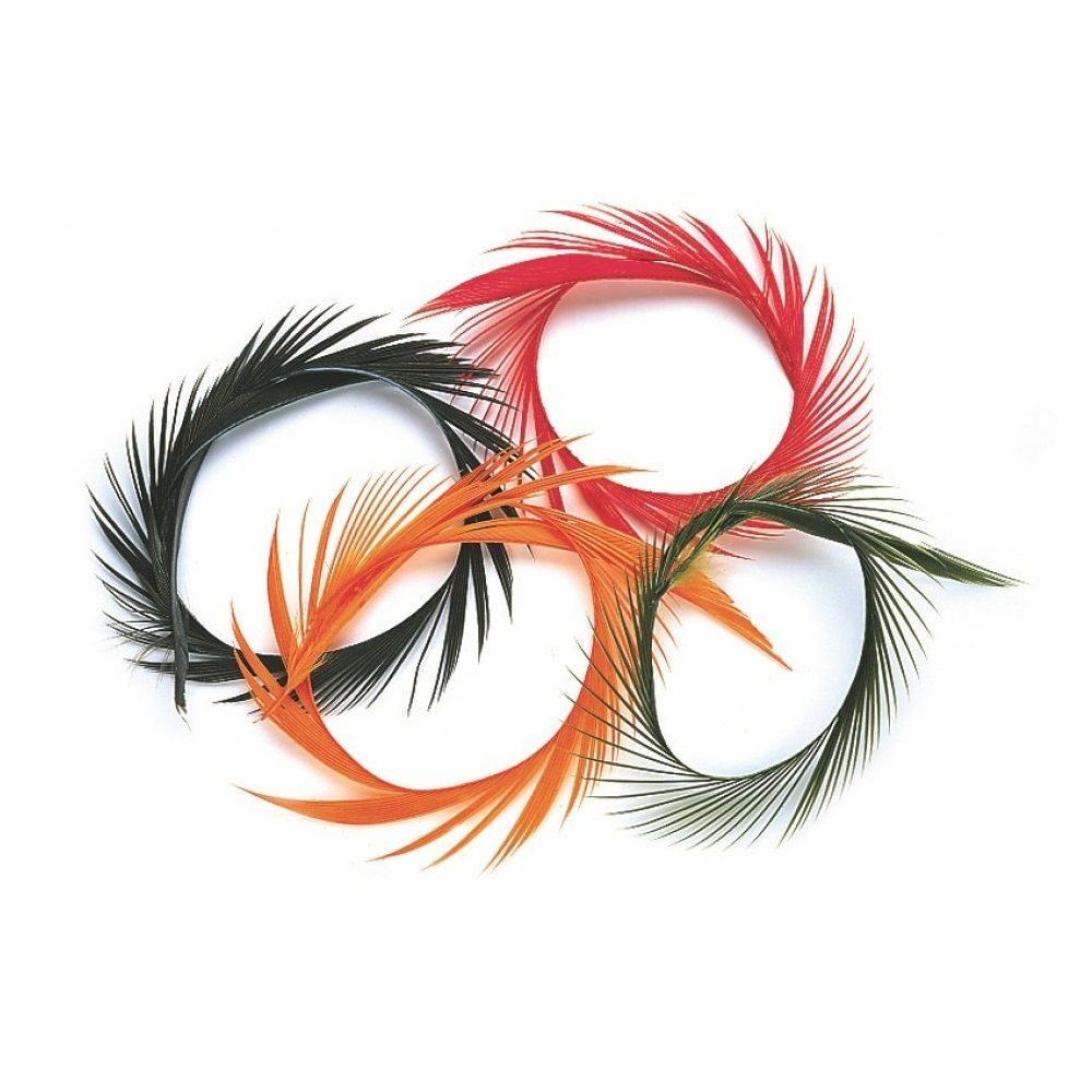 Veniard Gänse Biots