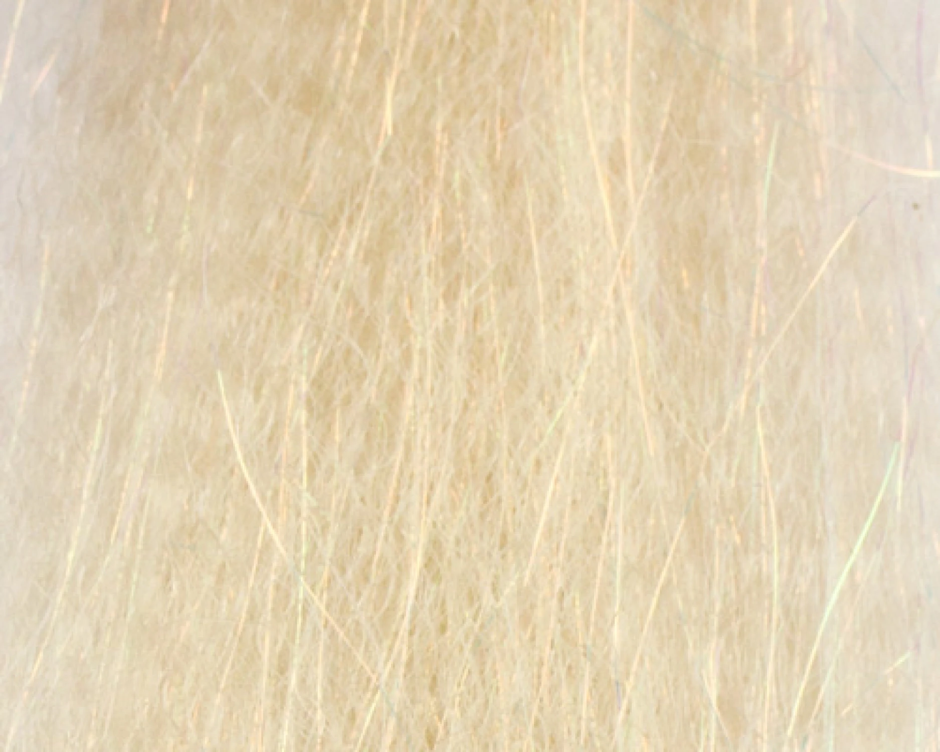 Fishient H2O  Flash Blend