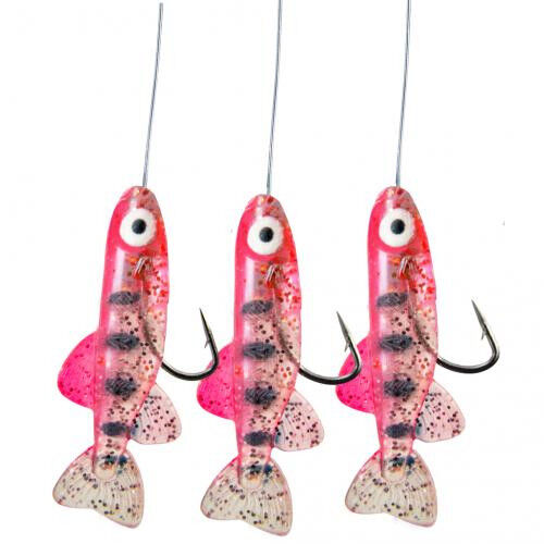 Jenzi Hegene mit Fishli´s Farbe P