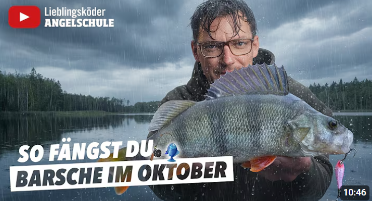 Screenshot 2025-10-17 234624