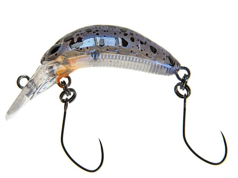 Nories RICE 30 Gomafu Azarashi