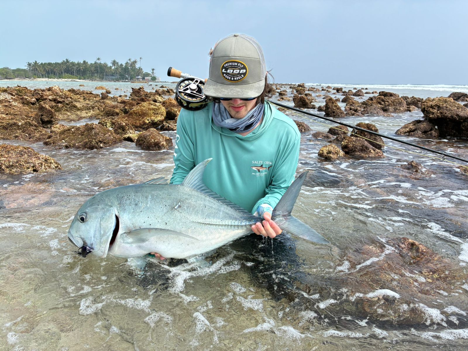 c4d4181b-225a-40d3-aedb-adbe7fb15036