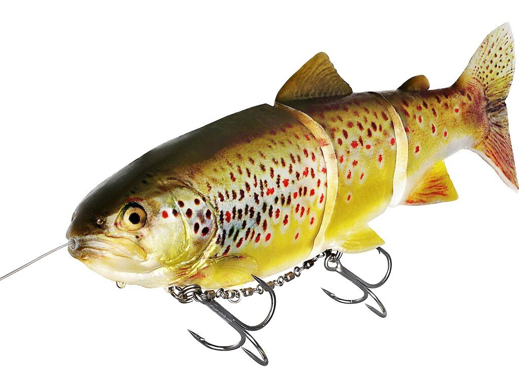 Westin Tommy The Trout Inline
